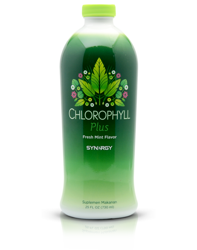Obat Herbal Chlorophyll Plus